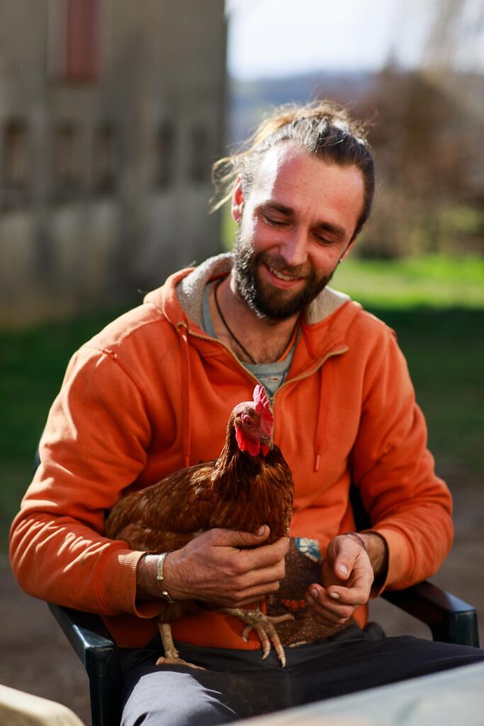 Oeufs bio de la Ferme des Croquants en Ariège